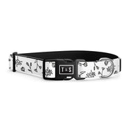 Collier pour chien Black Baccara