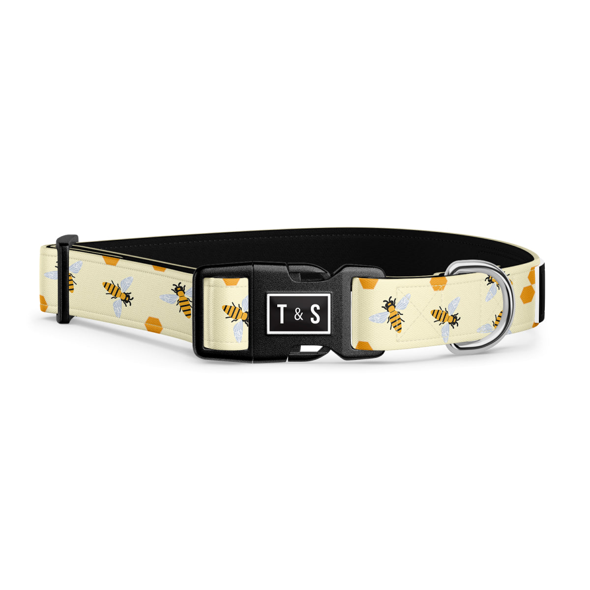 Buzz Combo Collar and Leash