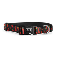 Collier pour chien Caliente
