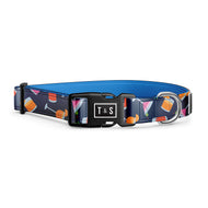 Collier pour chien Cheers