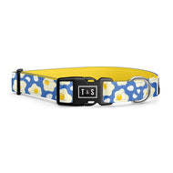 Collier pour chien Coco