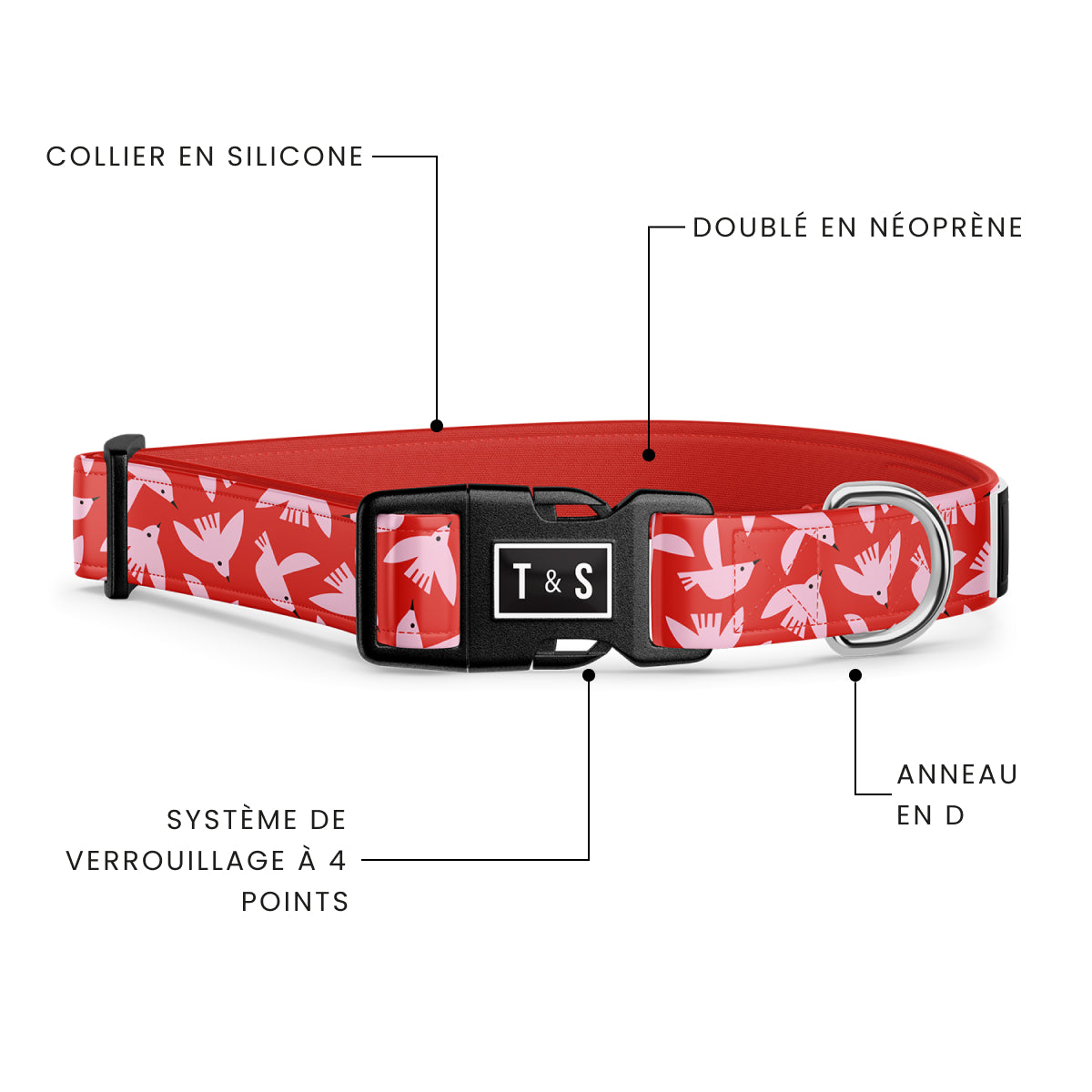 Chirp Chirp dog collar