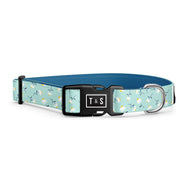 Collier pour chien Daisy