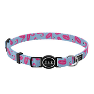 Collier pour chat Flamants Flamboyants