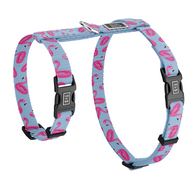 Harnais pour chat Flamants Flamboyants