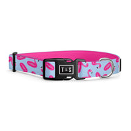 Flamboyant Flamingo dog collar