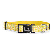 Florence dog collar