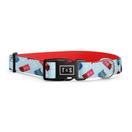 Collier pour chien Tempête de Guimauves
