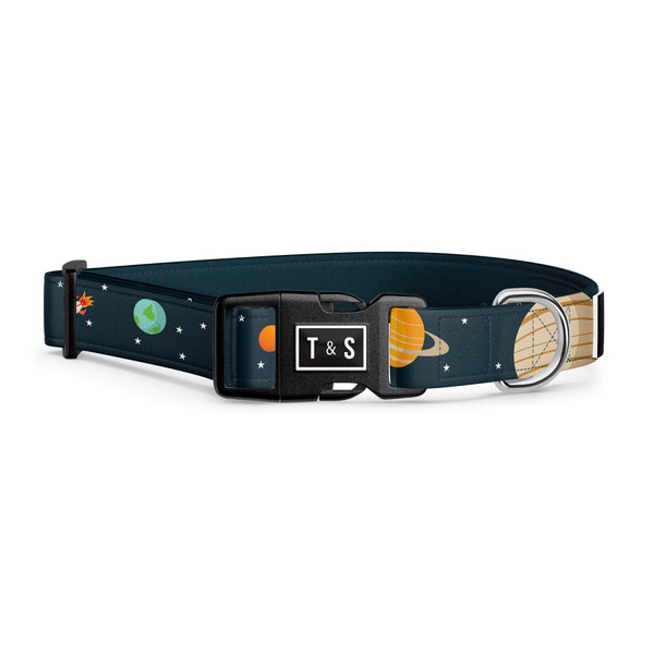 Collier pour chien Houston