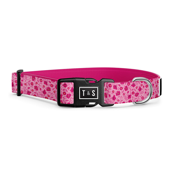 Collier pour chien Juliette
