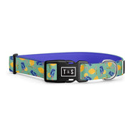 Collier pour chien Limonade sucrée