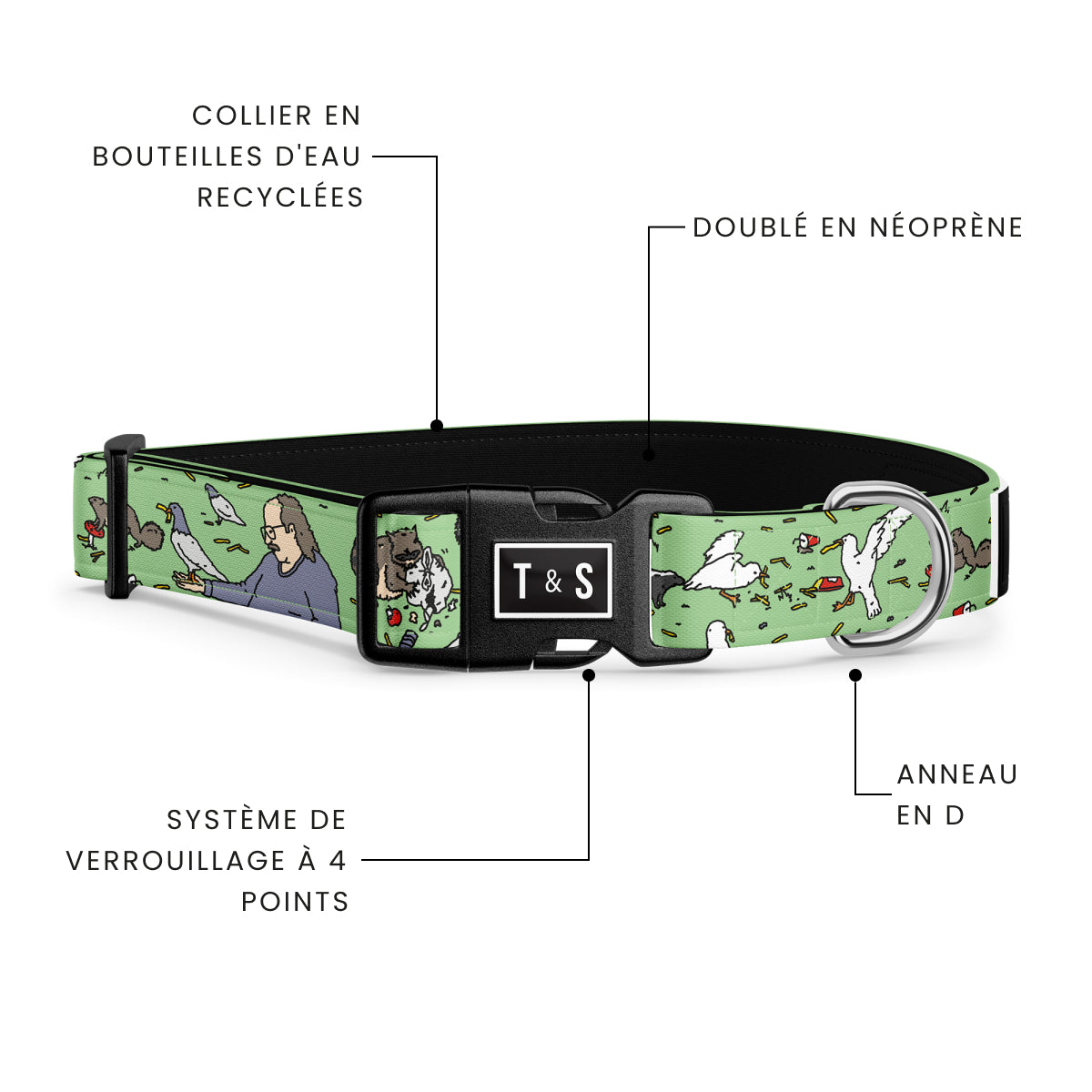 Brother Merle dog collar