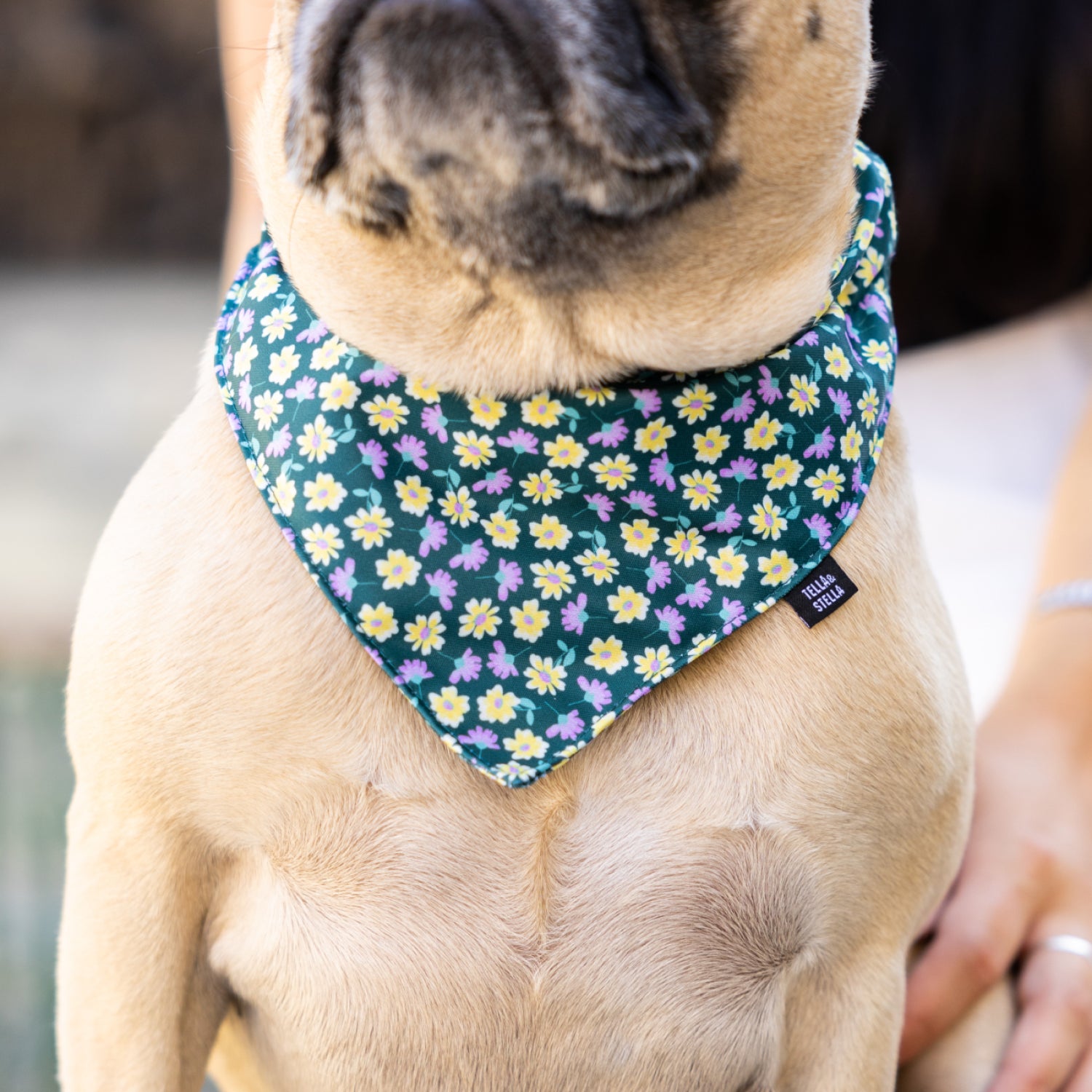 Margot dog bandana