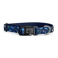Collier pour chien Meeting Maritime