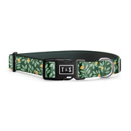 Nectar dog collar