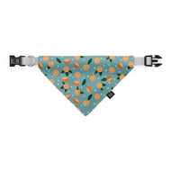 Orangery dog bandana