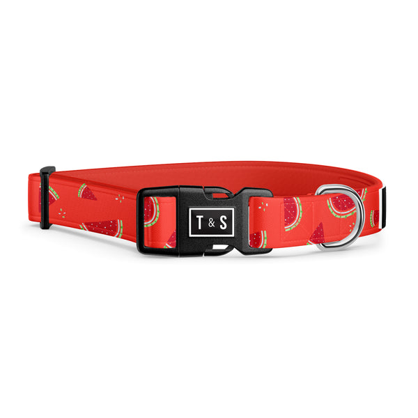 Collier pour chien Pastèque Fraîche