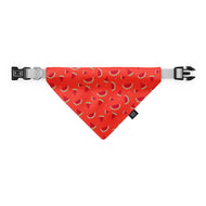 Fresh Watermelon dog bandana