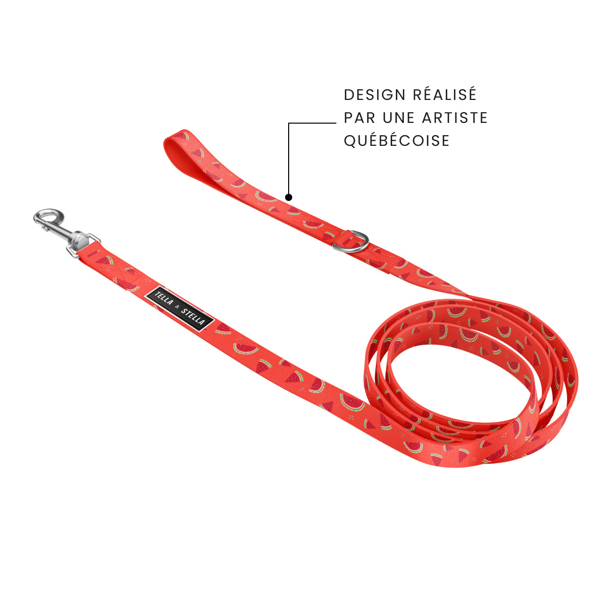 Fresh Watermelon Dog Leash