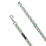 Peach Dog Leash