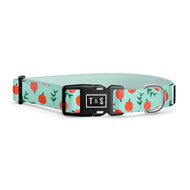 Peach dog collar