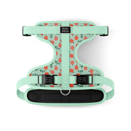 Adjustable dog harness - Peach