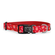 Collier pour chien À croquer
