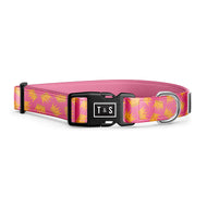 Collier pour chien Princesse