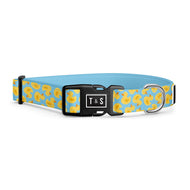 Quack! dog collar