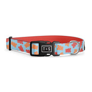 Collier pour chien Remy Gummy