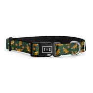Collier pour chien Renard des bois