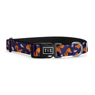 Collier pour chien Rongeur Randonneur
