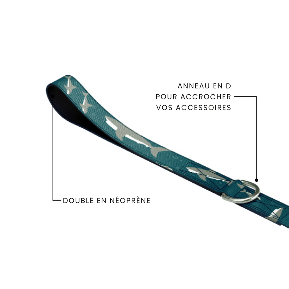 
                  
                    Charger l'image dans la galerie, Laisse pour chien Shark Attack
                  
                