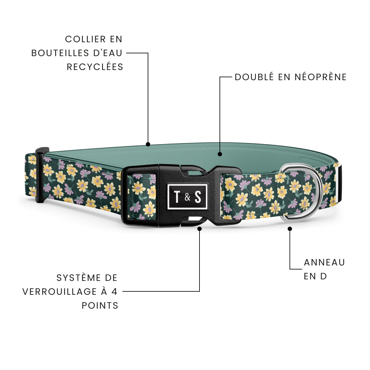 Margot dog collar