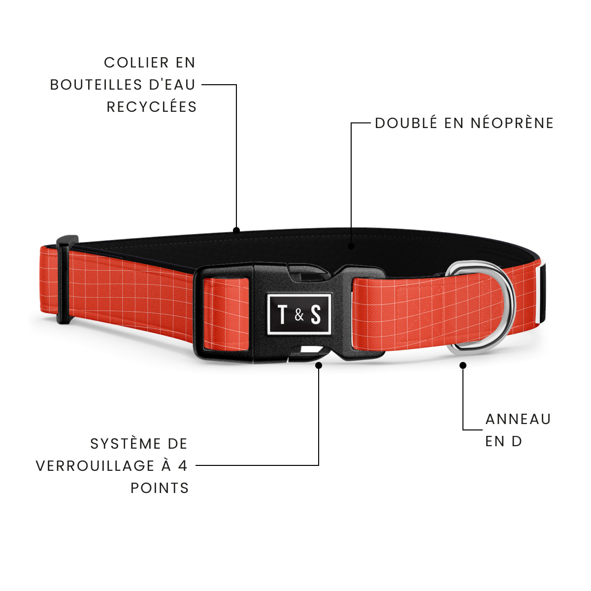 Tango dog collar