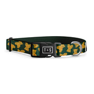 Collier pour chien Teddy