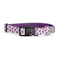 Violet dog collar