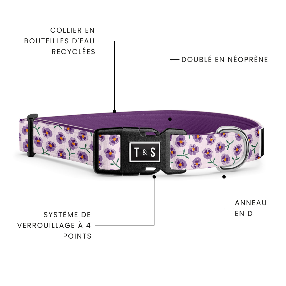 Violet dog collar