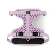 Adjustable dog harness - Violet