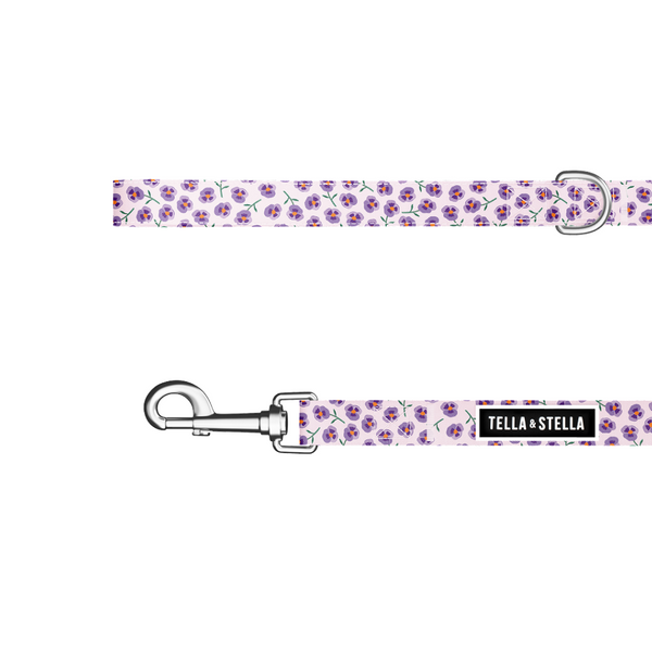 Laisse pour chat Violette