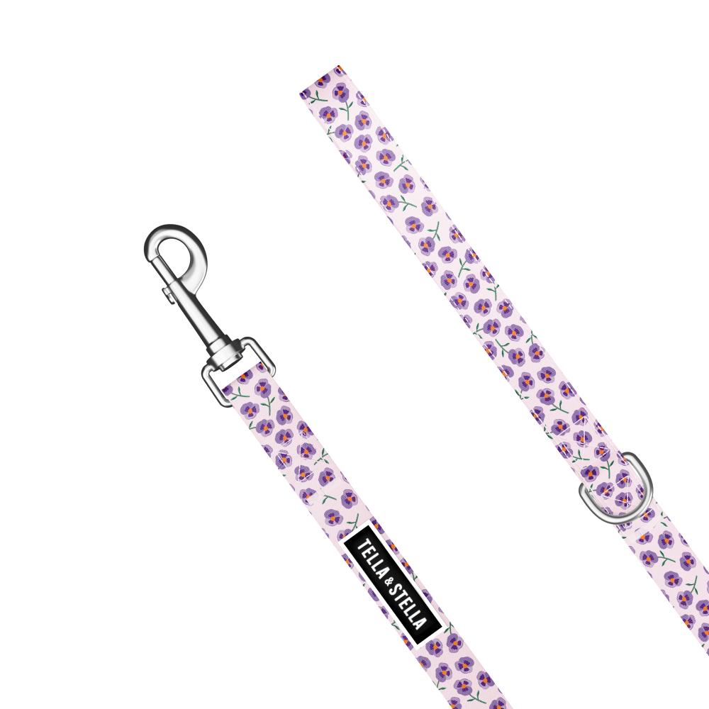 Violet dog combo collar and leash