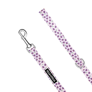 Violet dog leash