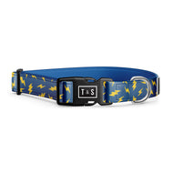 Collier pour chien Volt