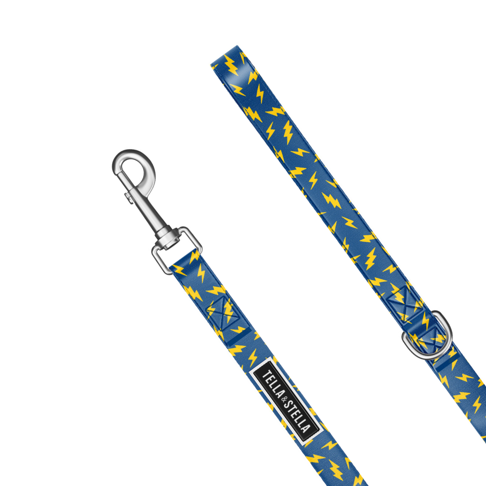 Volt Combo Collar and Leash