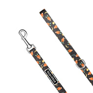 Laisse pour chien Astro