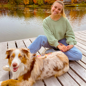 Duo collier et laisse pour chien Bananes