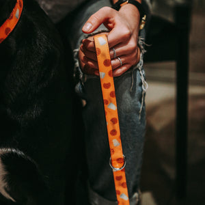 Biscuit dog leash