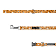 
                      
                        Charger l&#39;image dans la galerie, Duo collier et laisse pour chien Biscuit
                      
                    