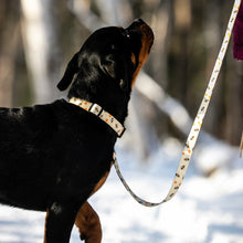 
                      
                        Charger l&#39;image dans la galerie, Duo collier et laisse pour chien Buzz
                      
                    
