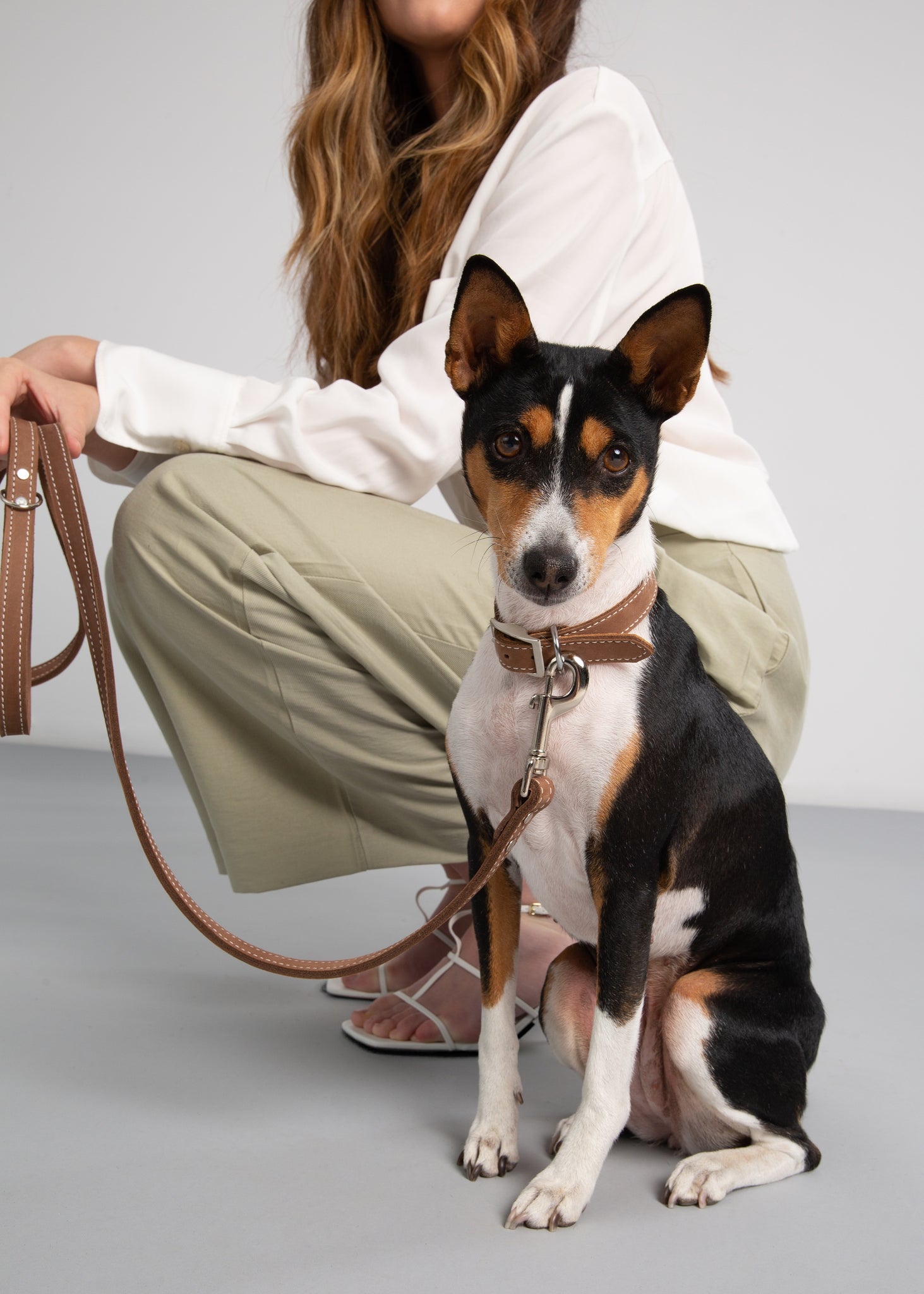 Brown Leather Combo Collar and Leash